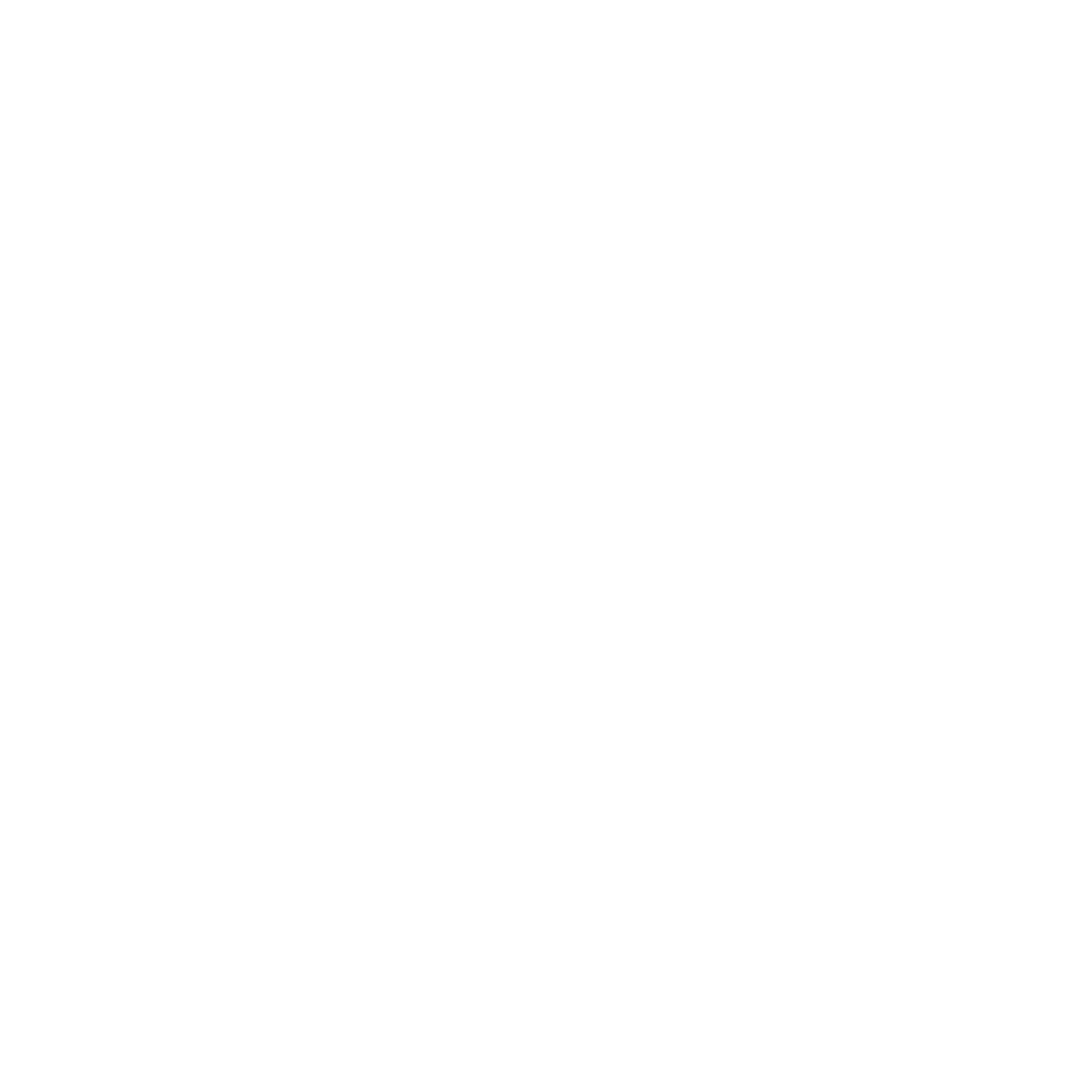 Cyber Samurai